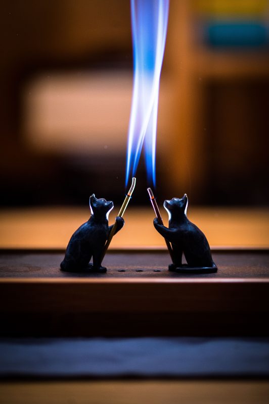 pexels coppertist wu 313365563 15569337