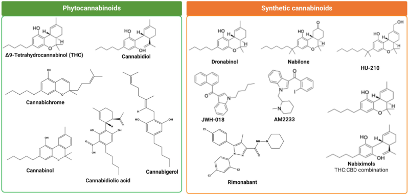 Cannabis vs Synthetic Cannabinoids 3 Cannabis vs Synthetic Cannabinoids
