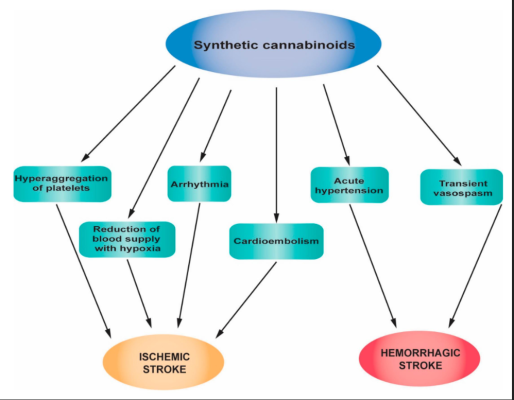 what is K2 Synthetic Cannabinoids