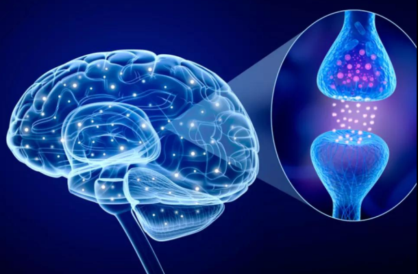 Understanding Psychoactive Substances